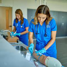 Online accelerated nursing programs: BusinessHAB.com