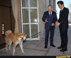 The best memes from instagram, facebook, vine, and twitter about putin doge. Putin Trying To Take A Doge For A Walk Sorry Dor My Bad English 9gag