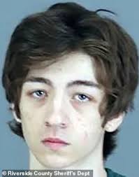 Mother is left devastated after son, 18, and daughter, 16, die in their  bedrooms within months of each other after falling victim to 'invisible  killer'