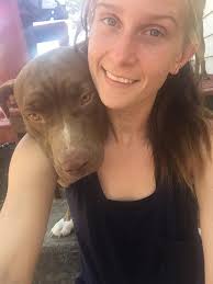 Dogs trying to get to mockingbird