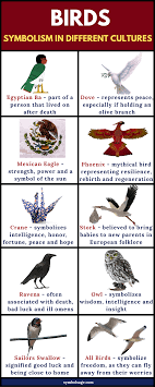 Birds Symbolism And Meaning In 2020 Animal Symbolism Symbols Birds