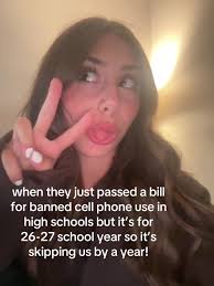 Passed A Bill in High School