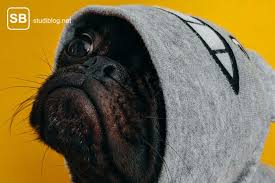 Lustige Weisheiten Aus Dem Studentenleben Studiblog