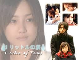 1 litre of tears review - SY 2013-2014