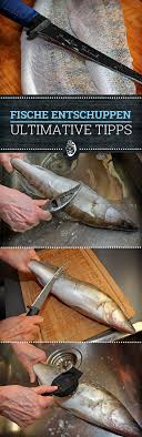 Holgers Anti Schuppen Kur Fisch Zubereiten Fisch Rauchern Fisch Grill