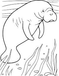 These spring coloring pages are sure to get the kids in the mood for warmer weather. Manatee Coloring Pages Coloringall