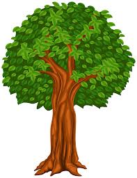 More images for tree images clip art » Tree Cartoon Wallpapers Top Free Tree Cartoon Backgrounds Wallpaperaccess