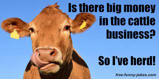 Funny beef jokes one liner. Cow Jokes
