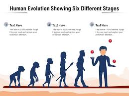 Start studying 3.6 human evolution with pictures. Human Evolution Showing Six Different Stages Presentation Graphics Presentation Powerpoint Example Slide Templates