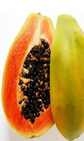 We found 70 results for fruit trees nursery in or near lady lake, fl. Papaya Red Lady Dwarf Tree