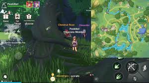 Lots of jake in neverland to choose from. The Legend Of Neverland Treasure Chest Location Guide