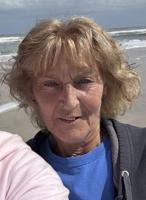 Shenango students named to honor roll