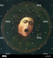 Image result for Centrostigma occultans