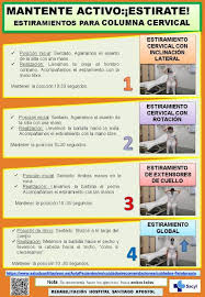 ¿cómo mejorar el estiramiento muscular? Ejercicios De Estiramiento De La Columna Cervical Aula De Pacientes