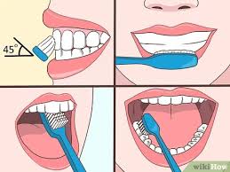 Crest.com has been visited by 10k+ users in the past month How To Remove Tartar 10 Steps With Pictures Wikihow