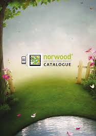 Image result for Lippia somalensis