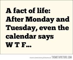Maybe you would like to learn more about one of these? The Meta Picture Monday Humor Quotes Monday Quotes Happy Monday Quotes
