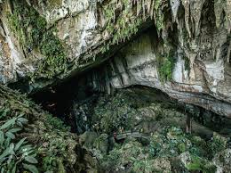 The gunung mulu national park is a national park in miri division, sarawak, malaysia. Introduction Of Mulu National Park World Heritage Area