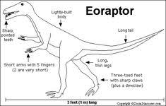 Eoraptor Printout Zoomdinosaurs Com Coloring Pages Dinosaur Long Tail