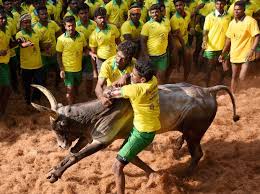 Jallikattu was selected from a total of 27 hindi, malayalam, oria, and marathi films. Jallikattu Protesters Form Party Plan To Contest Rk Nagar Bypoll Business Standard News