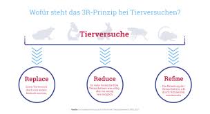 We did not find results for: Deutsches Primatenzentrum The 3rs Principle