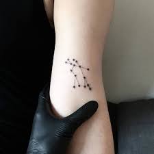 I call it my cancer mascot. Gemini Tattoos Small Novocom Top