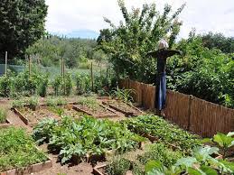 Orto La Rotazione Delle Colture One Giardinaggio Valagro Agricoltura Urbana Orto Rotazione Delle Colture