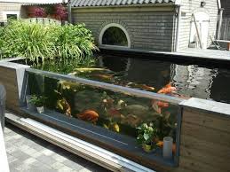 20 Amazing Aquarium Design Meowlogy Ponds Backyard Pond Design Koi Pond Design
