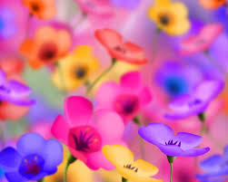 50+ beautiful flower background for your desktop: Floral Desktop Backgrounds Wallpaper Cave