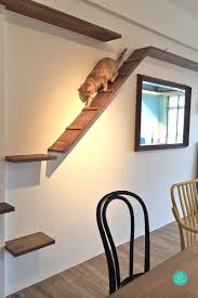 Cat steps for wall diy. Cat Shelves Design Novocom Top