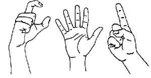 The signing alphabet for the british, australian and new zealand sign languages, with hands. Sign Language Facts For Kids Kidzsearch Com