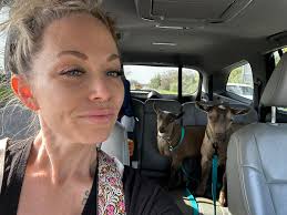 What age to start feeding alfalfa pellets to goats?