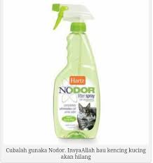 Kemudian, semburkan campuran tersebut di kawasan yang berbau. Kenapa Kucing Pancut Ini Kucing Rawatan Dan Penjagaan Facebook