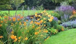 какие цветы посадить на клумбе чтобы цвели все лето фото Kakie Cvety Posadit Na Klumbe Chtoby Cveli Vse Leto Po Kakomu Principu Vybirat Neprihotlivye Mnogoletniki Dlya Klumby Chtoby Ona Klumby Landshaft Sadovodstvo