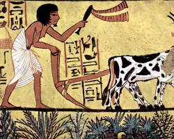Image of Early Farmers Cultivating Crops