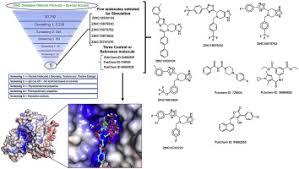Looking for 2 bedroom moble home to move to my land under 5000 in indianapolis indiana. Structure Based Drug Designing And Discovery Of Promising Lead Molecules Against Udp N Acetylenolpyruvoylglucosamine Reductase Murb A Potential Drug Target In Multi Drug Resistant Acinetobacter Baumannii Sciencedirect