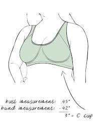 Check spelling or type a new query. How To Measure Your Bra Size Dia Co