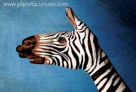 Imagenes Curiosas Manos Pintadas De Animales Lll Planeta Curioso