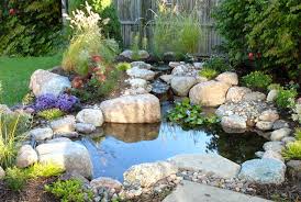 Check spelling or type a new query. Small Ponds Pack A Punch Aquascape Inc