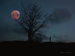 This moon got its name because of the abundance of springtime it's called a blood moon because of the reddish hue it takes on during the eclipse, according to nasa. Massive Super Blood Flower Moon Will Be Visible Over Vancouver Island This Month