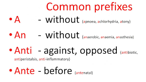 Ajf Y Suffix Medical Terminology Nalan Com Sg