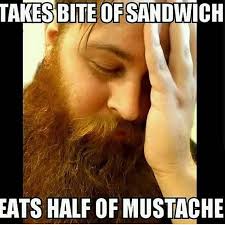 Funny Beard Meme Beard Humor Bearded Men Problems Beard Humor Funny Beard Memes Beard Memes