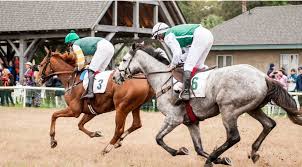 On any given weekend, visitors will find some of the most fun things to do in lexington, including horse shows, rodeos, festivals, museum exhibits, shopping and more. What Is A Steeplechase Steeplechase Of Charleston Horse Race