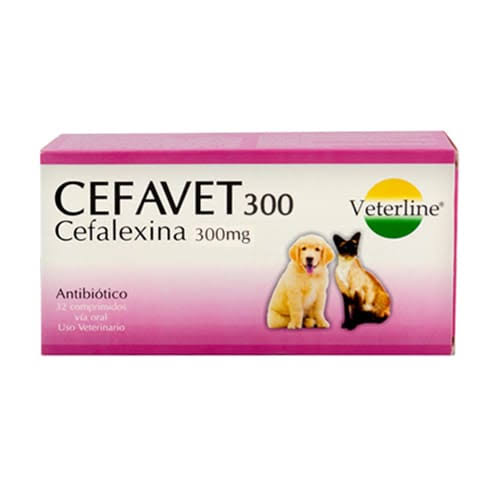 CEFAVET 300MG