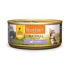 Instinct Original Kitten Grain Free Real Chicken Recipe Natural Wet Canned Cat Food By Nature S Variety 5 5 Oz C In 2020 Canned Cat Food Natural Cat Food Kitten Food