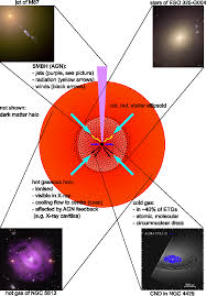 1979 halo lighting catalog for recessed architectural lighting products. Https Edoc Ub Uni Muenchen De 22873 1 Eisenreich Maximilian Pdf