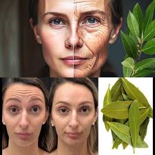 Bay leaf is a million times stronger than Botox and collagen. Removes all  wrinkles and fine lines Must express something to keep getting my recipes  🙏 Full recipe in the first comment 💬👀