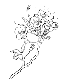 By best coloring pages april 2nd 2020. Free Cherry Blossom Coloring Page