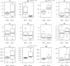 Image result for Maerua prittwitzii