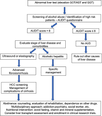 Alcohol Related Liver Disease Clinical Practice Guidelines By The Latin American Association For The Study Of The Liver Aleh Sciencedirect